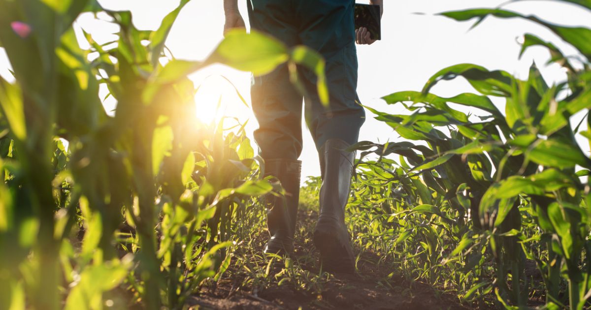 Invest in Your Farm’s Growth: Tips to Secure the Ag Loan You Need